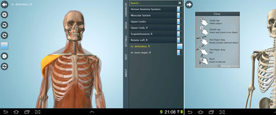 android_anatomy3d